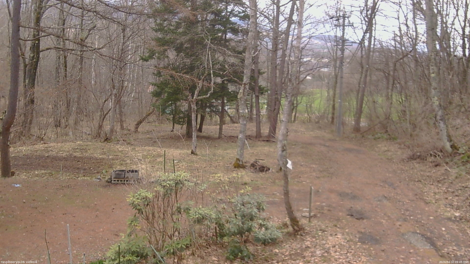 長野県菅平高原 ゆたか山荘 坂上 2026/04/10 09:45