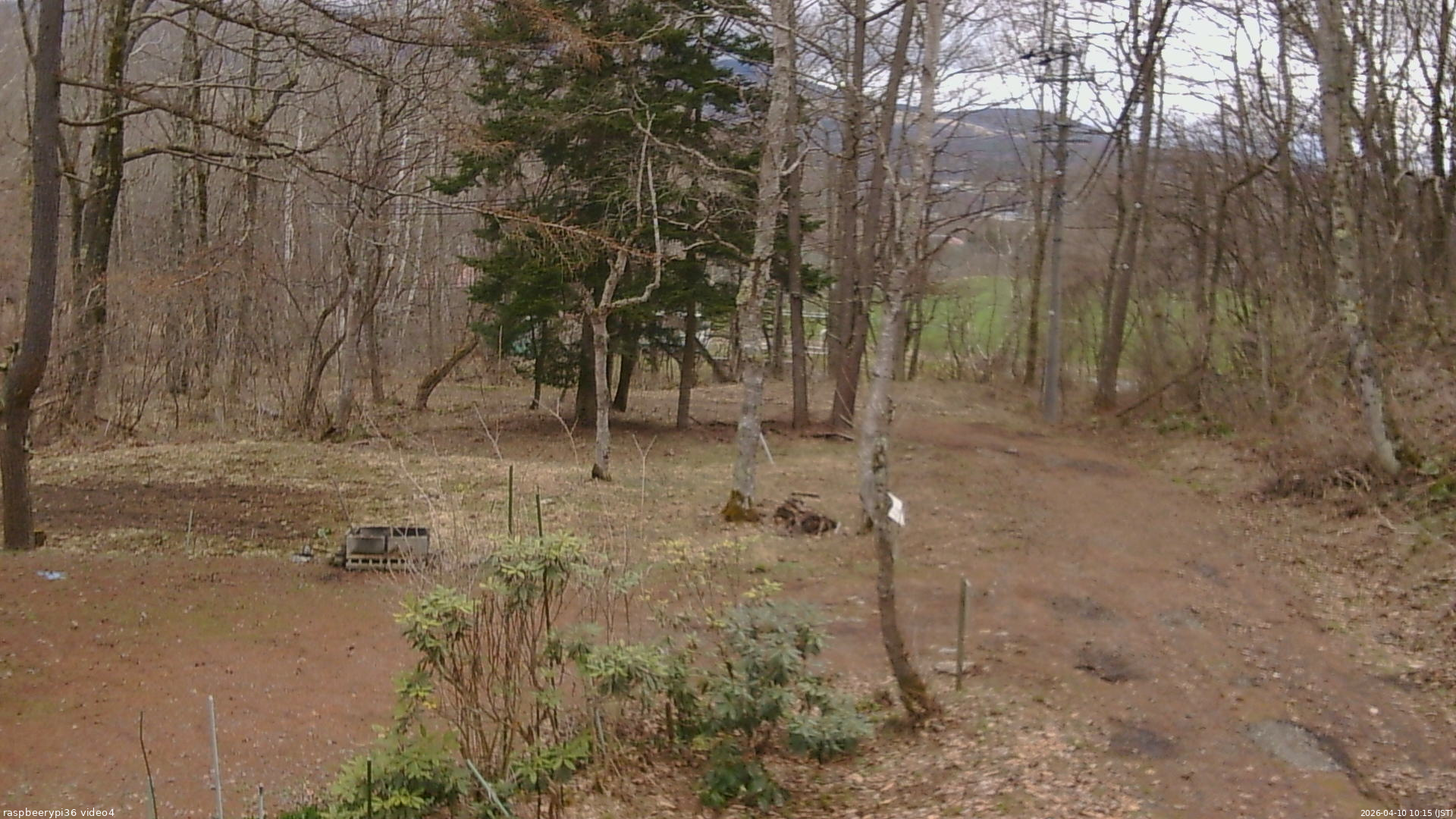 長野県菅平高原 ゆたか山荘 坂上 2026/04/10 10:15