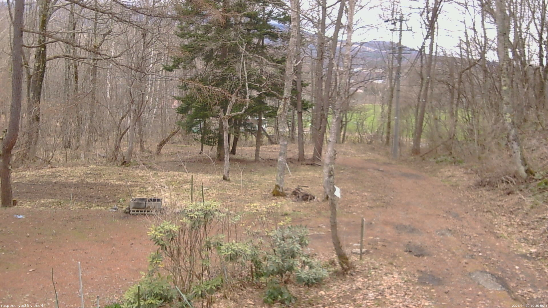 長野県菅平高原 ゆたか山荘 坂上 2026/04/10 10:30