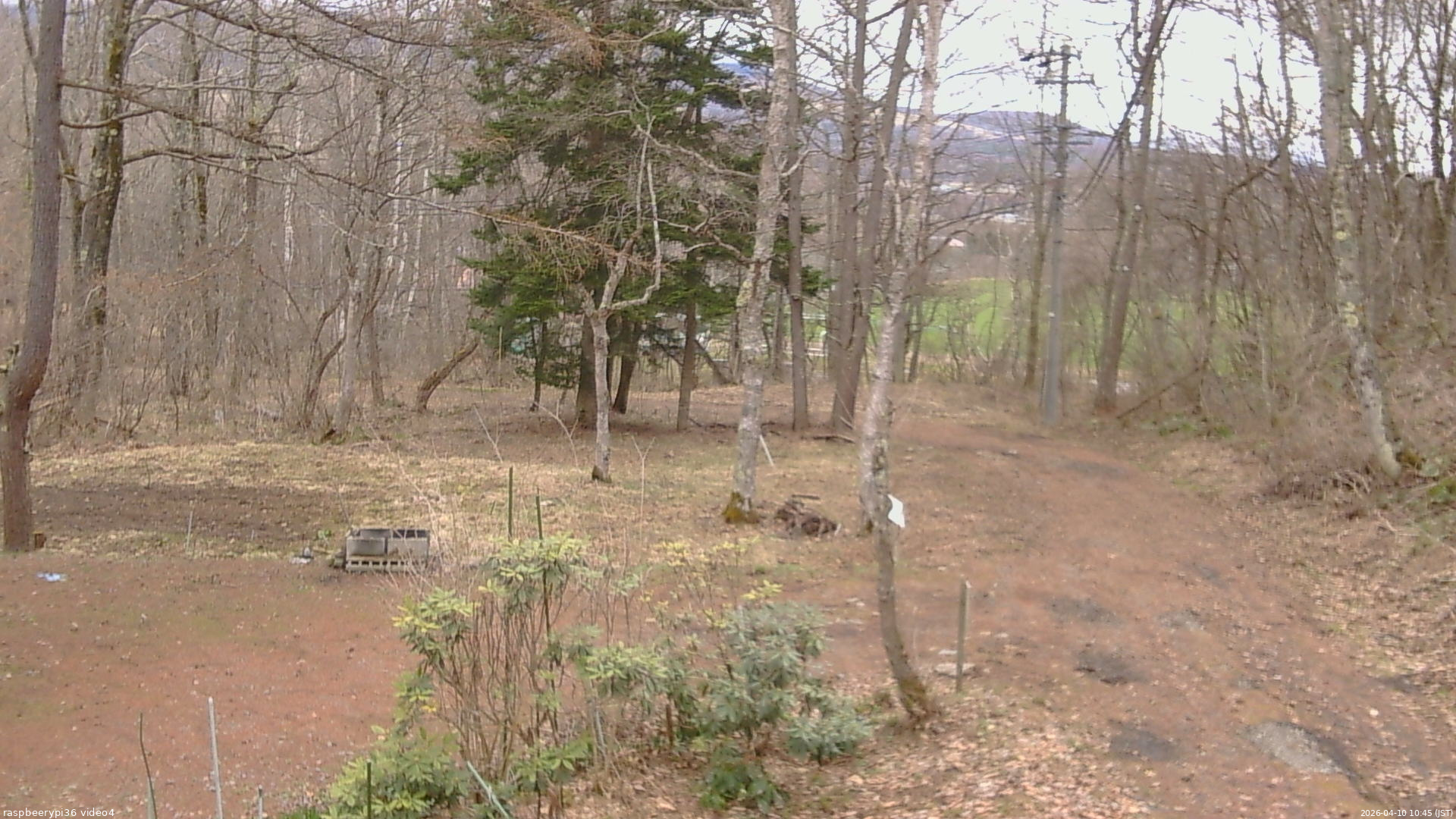 長野県菅平高原 ゆたか山荘 坂上 2026/04/10 10:45