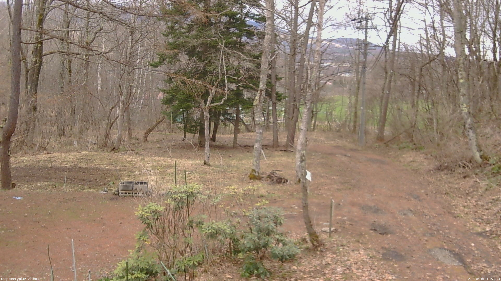 長野県菅平高原 ゆたか山荘 坂上 2026/04/10 11:15