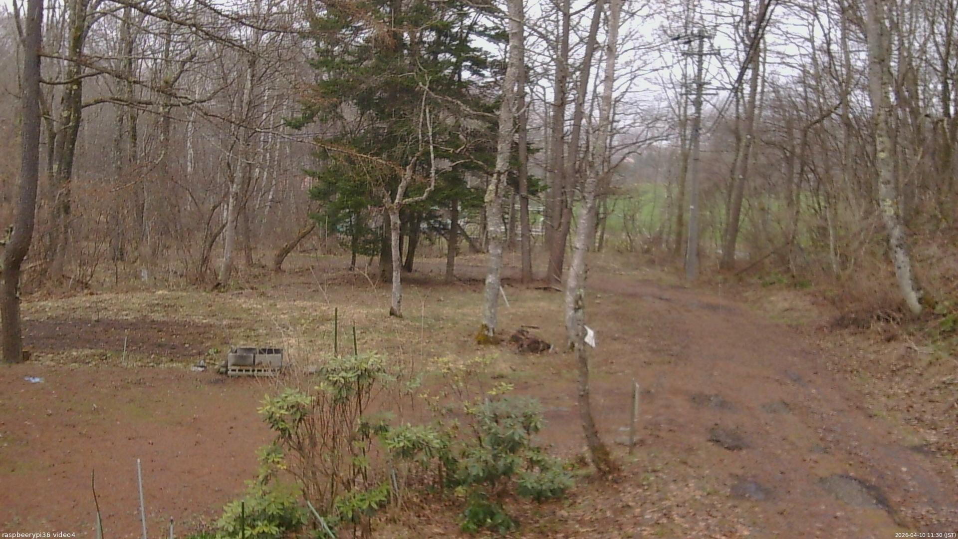 長野県菅平高原 ゆたか山荘 坂上 2026/04/10 11:30