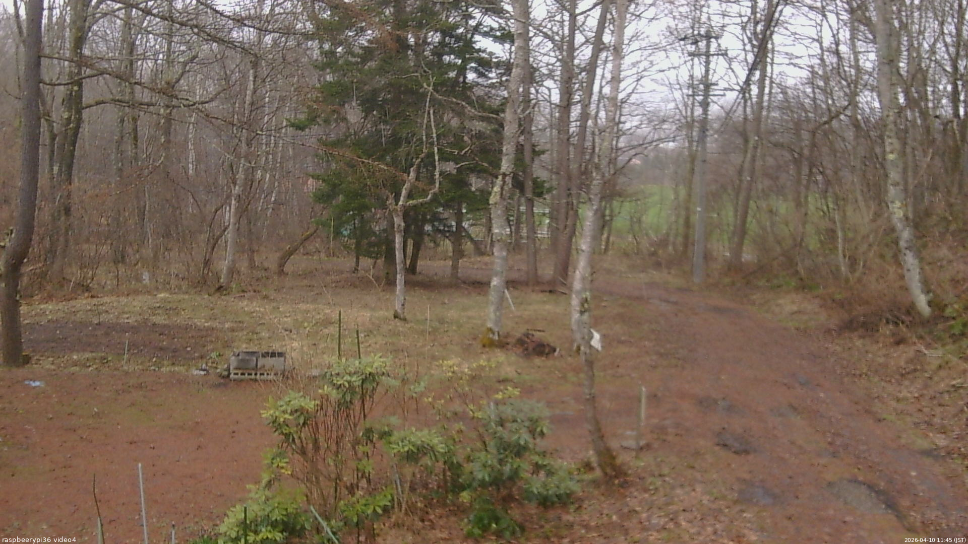 長野県菅平高原 ゆたか山荘 坂上 2026/04/10 11:45