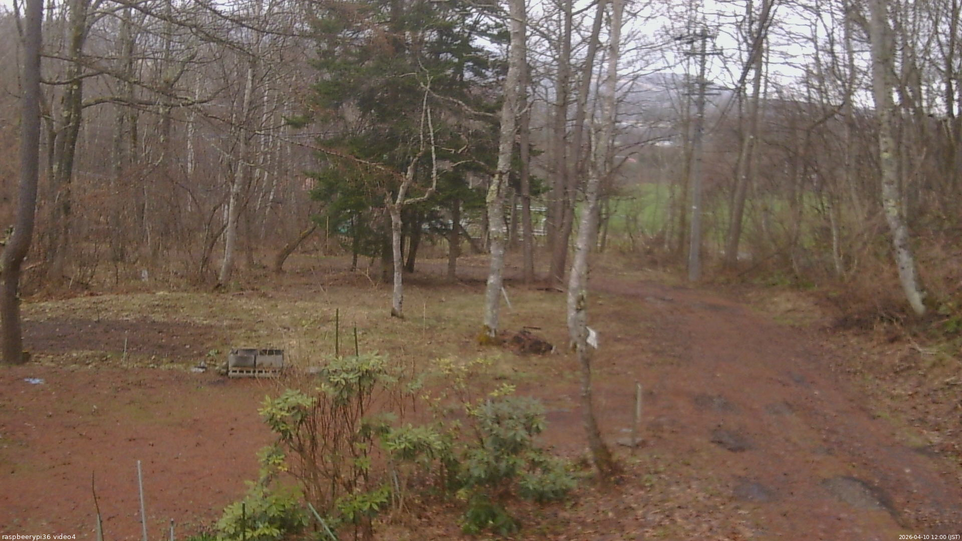 長野県菅平高原 ゆたか山荘 坂上 2026/04/10 12:00