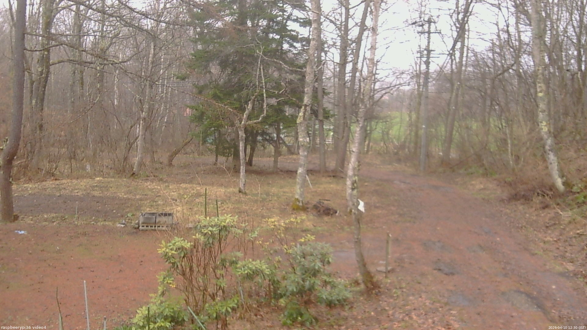 長野県菅平高原 ゆたか山荘 坂上 2026/04/10 12:30