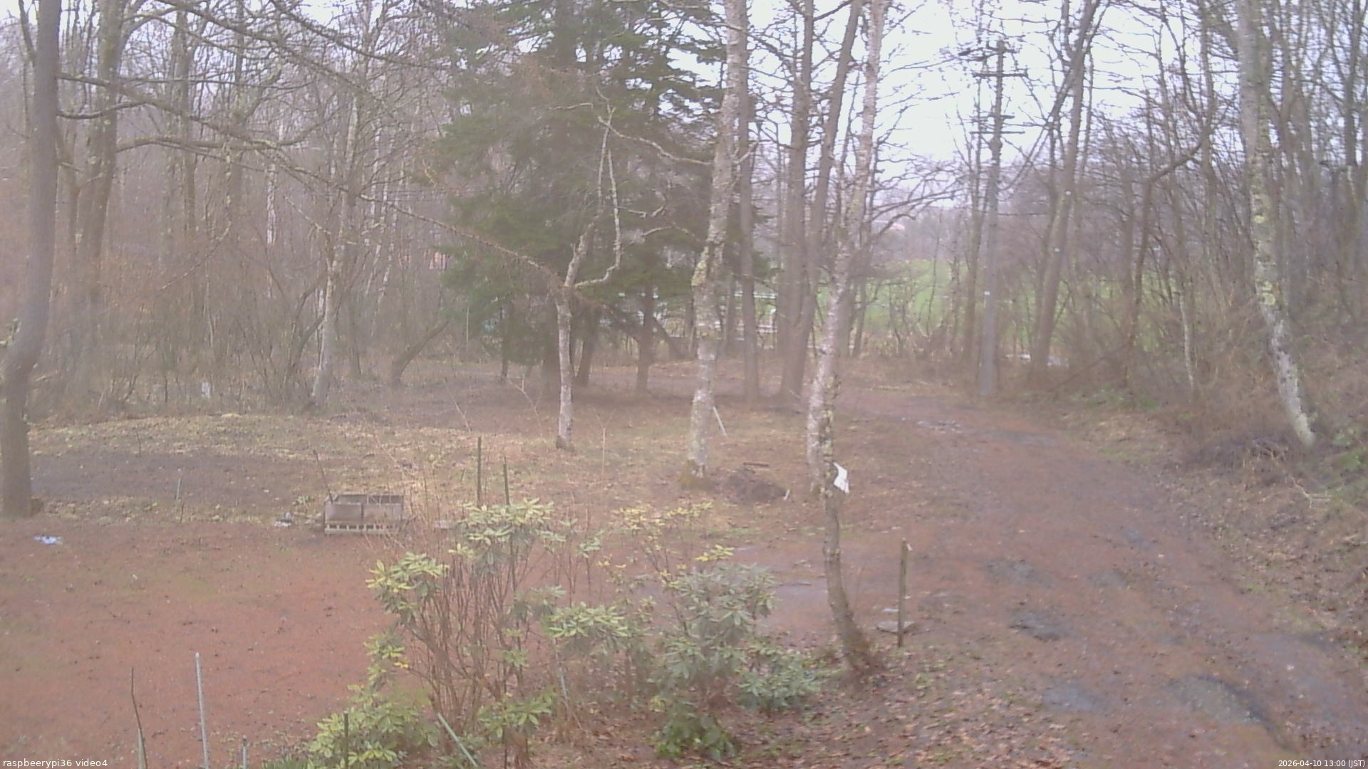 長野県菅平高原 ゆたか山荘 坂上 2026/04/10 13:00