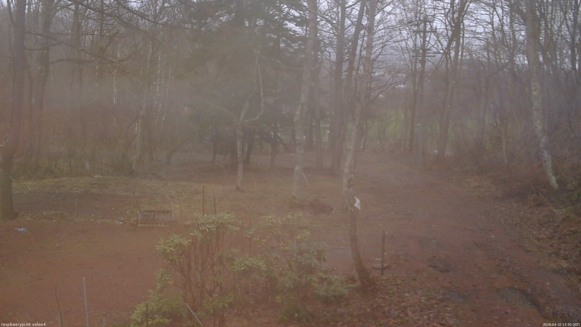 長野県菅平高原 ゆたか山荘 坂上 2026/04/10 13:30