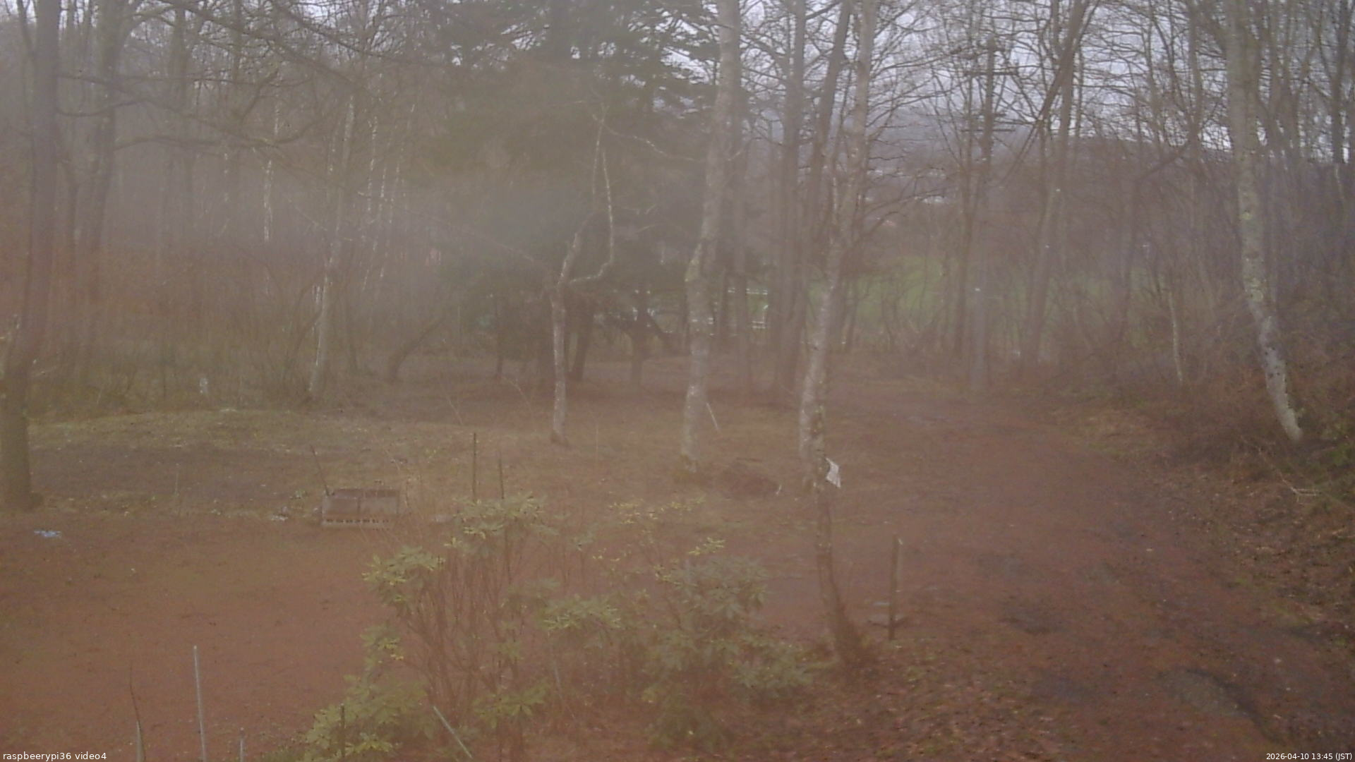 長野県菅平高原 ゆたか山荘 坂上 2026/04/10 13:45
