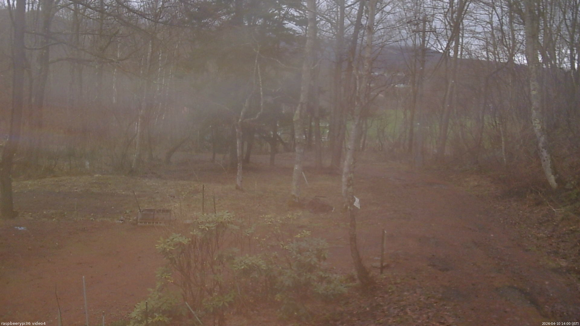 長野県菅平高原 ゆたか山荘 坂上 2026/04/10 14:00