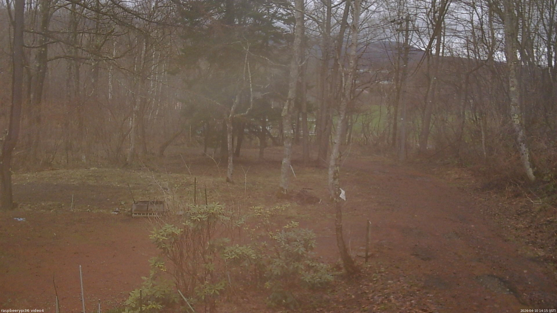 長野県菅平高原 ゆたか山荘 坂上 2026/04/10 14:15
