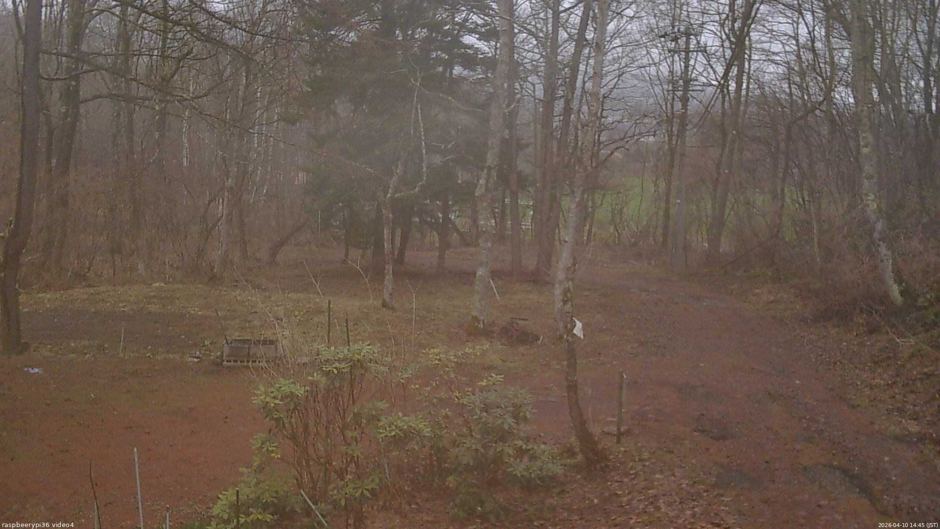 長野県菅平高原 ゆたか山荘 坂上 2026/04/10 14:45