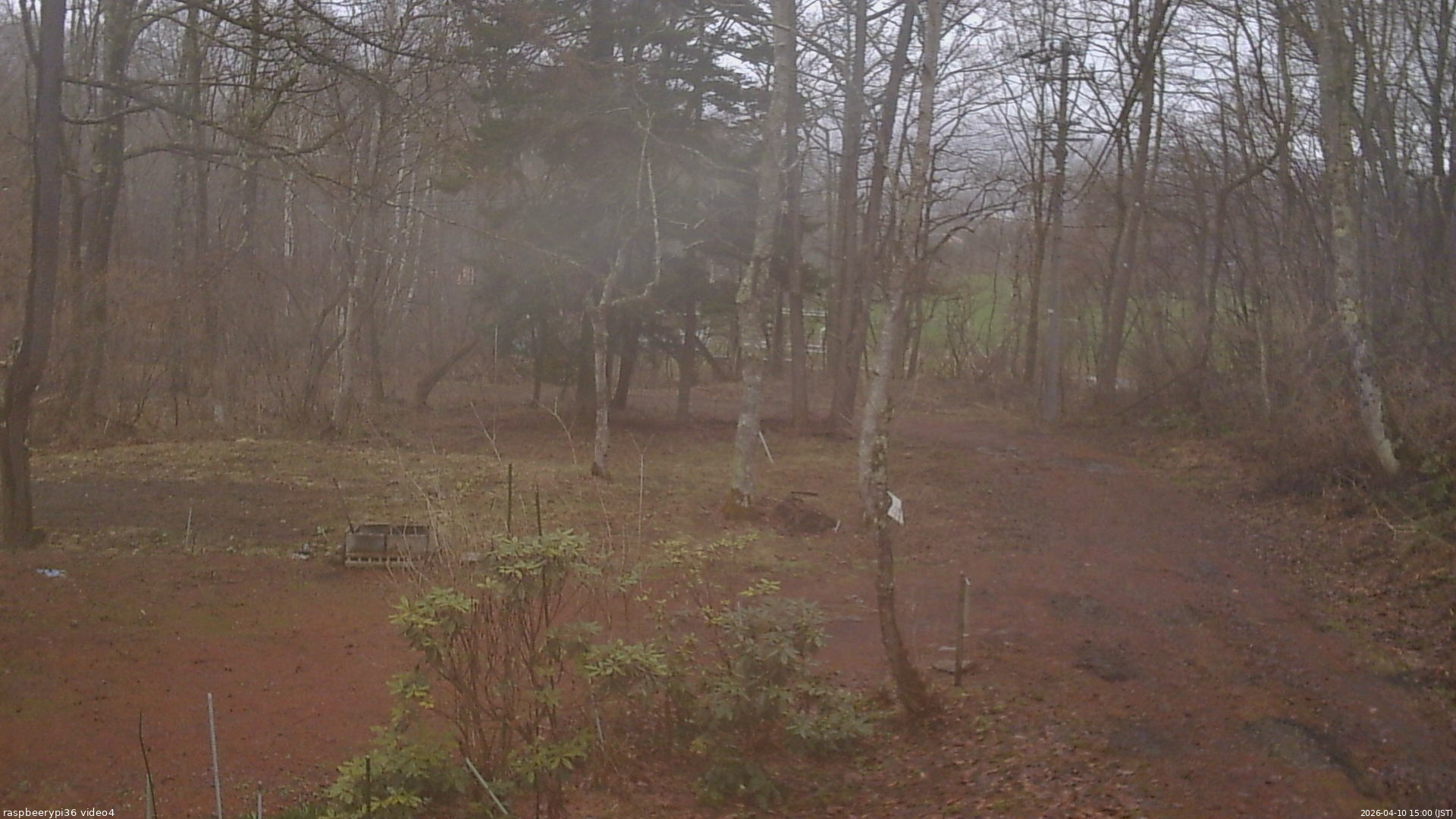 長野県菅平高原 ゆたか山荘 坂上 2026/04/10 15:00