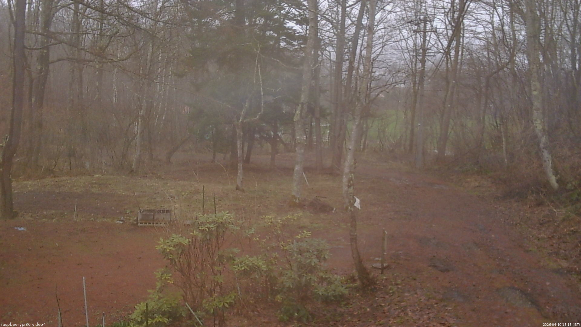 長野県菅平高原 ゆたか山荘 坂上 2026/04/10 15:15