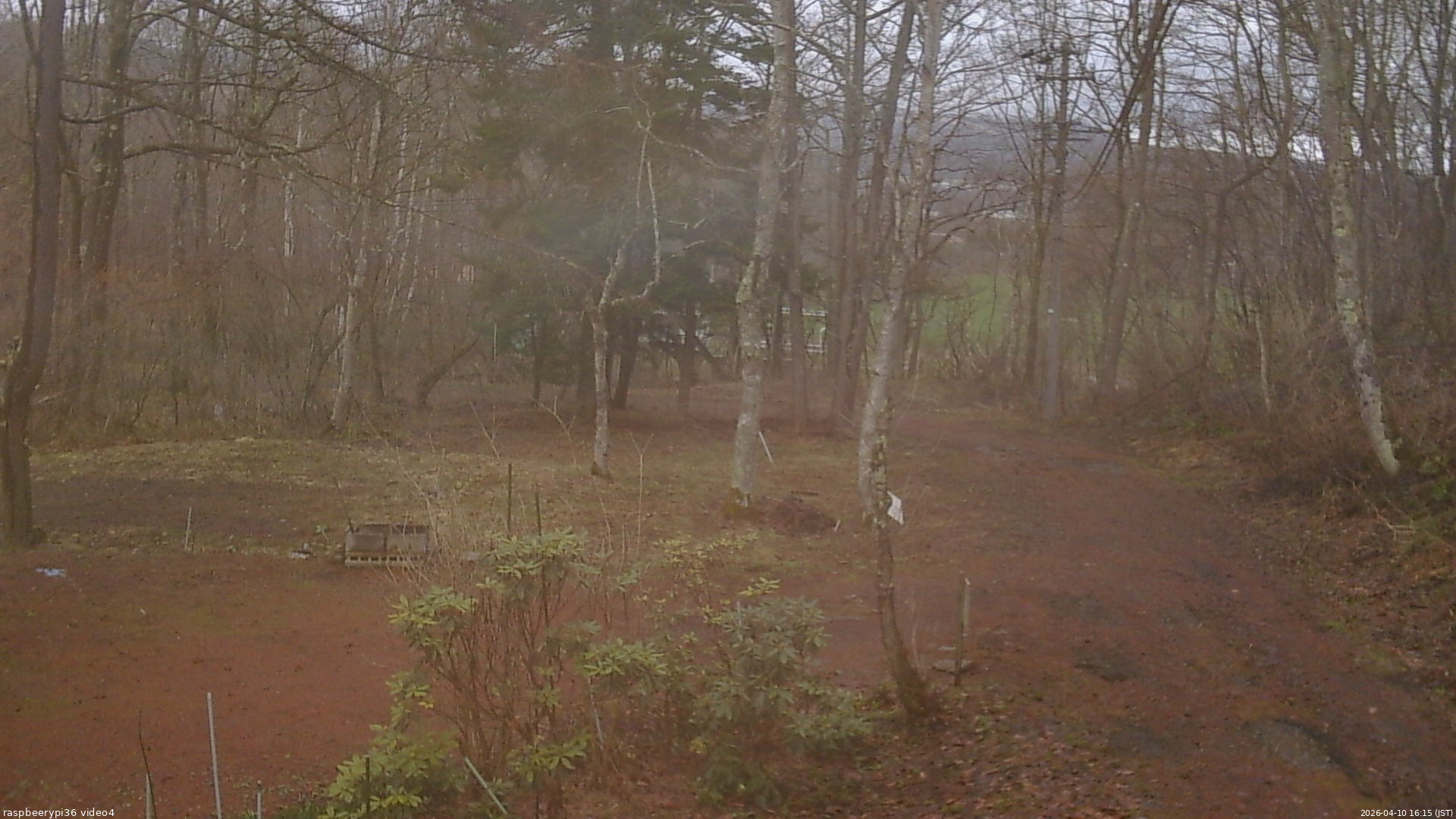 長野県菅平高原 ゆたか山荘 坂上 2026/04/10 16:15