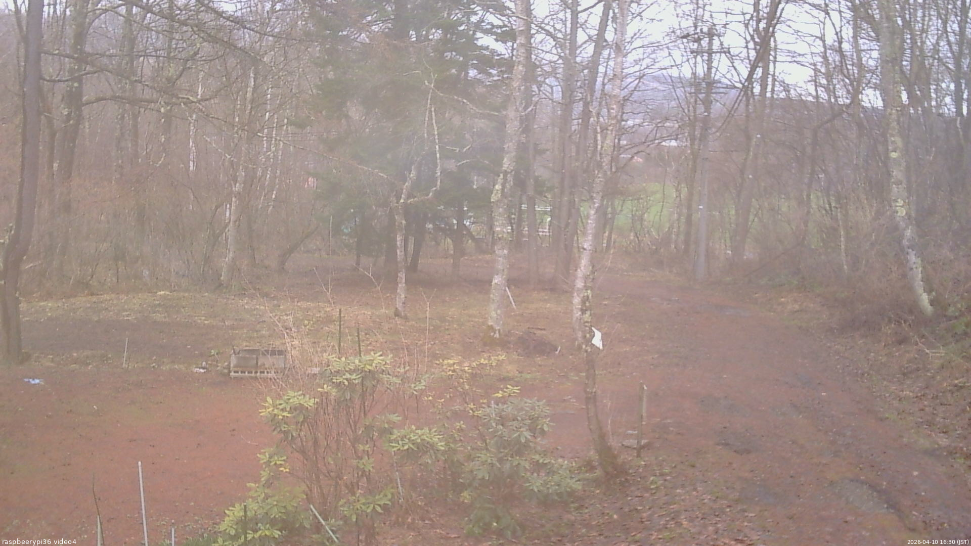 長野県菅平高原 ゆたか山荘 坂上 2026/04/10 16:30