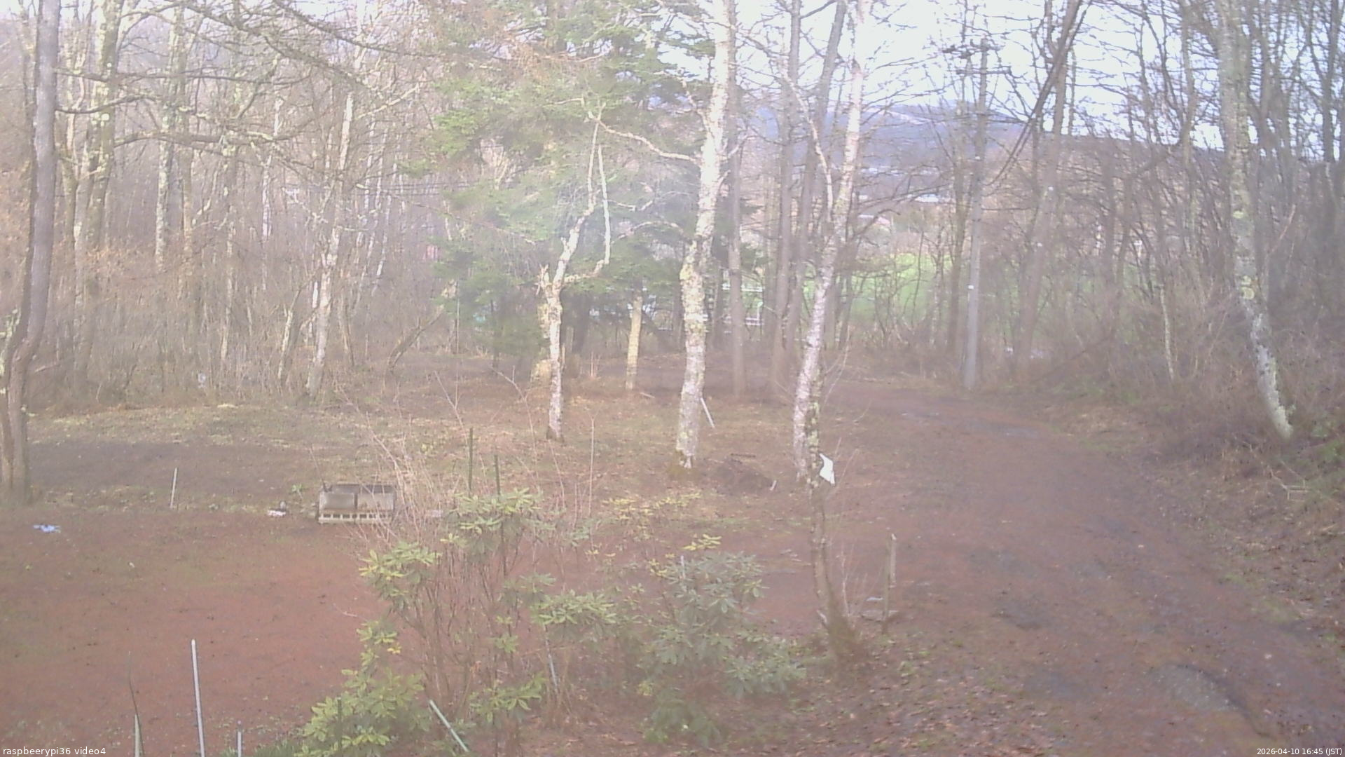 長野県菅平高原 ゆたか山荘 坂上 2026/04/10 16:45