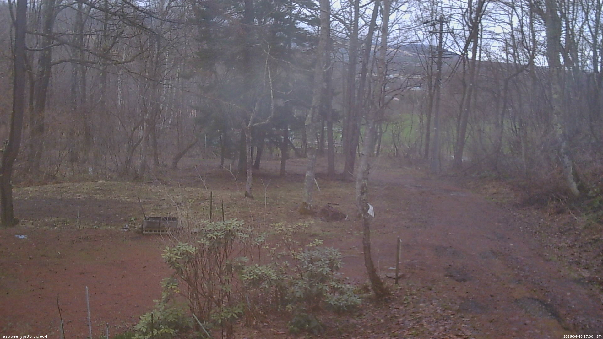 長野県菅平高原 ゆたか山荘 坂上 2026/04/10 17:00