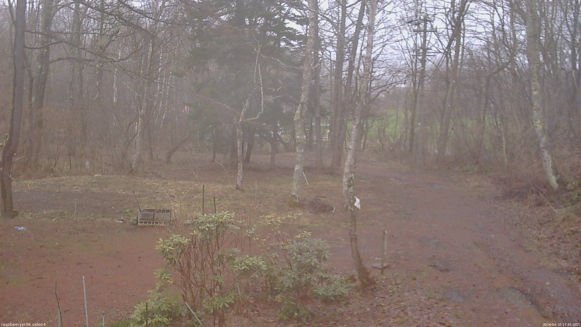 長野県菅平高原 ゆたか山荘 坂上 2026/04/10 17:45