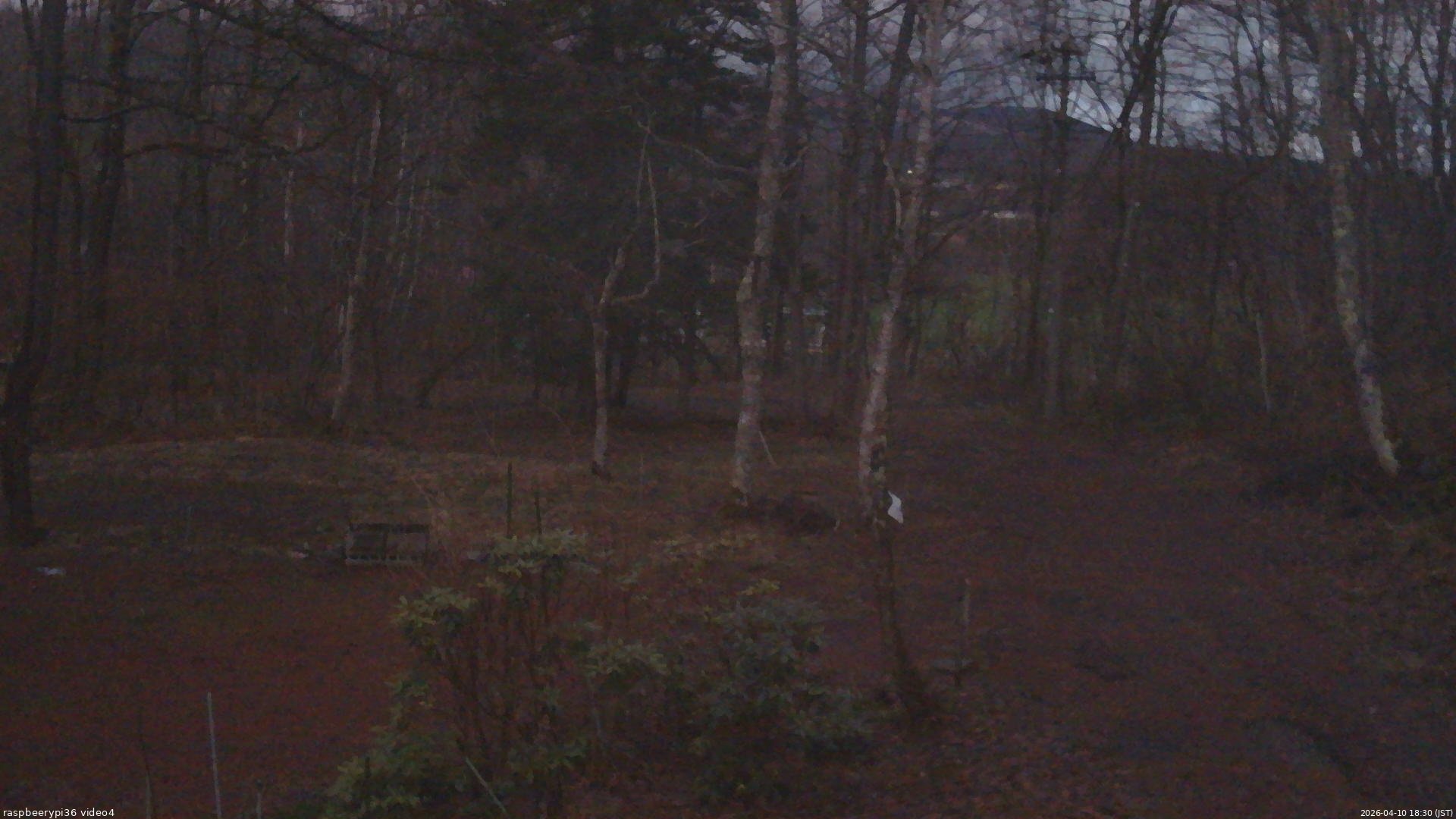 長野県菅平高原 ゆたか山荘 坂上 2026/04/10 18:30