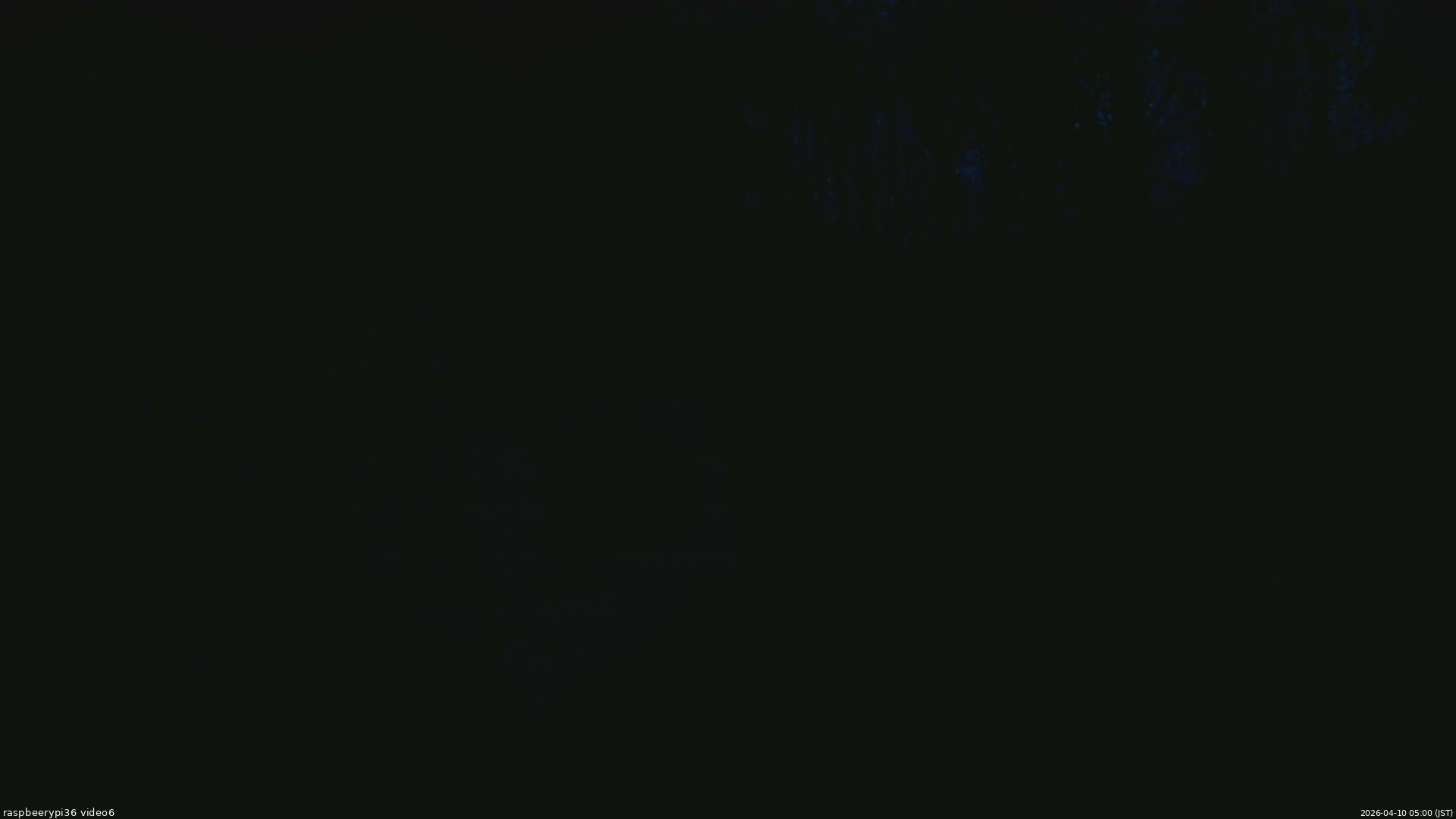 長野県菅平高原 ゆたか山荘 坂下 2026/04/10 05:00