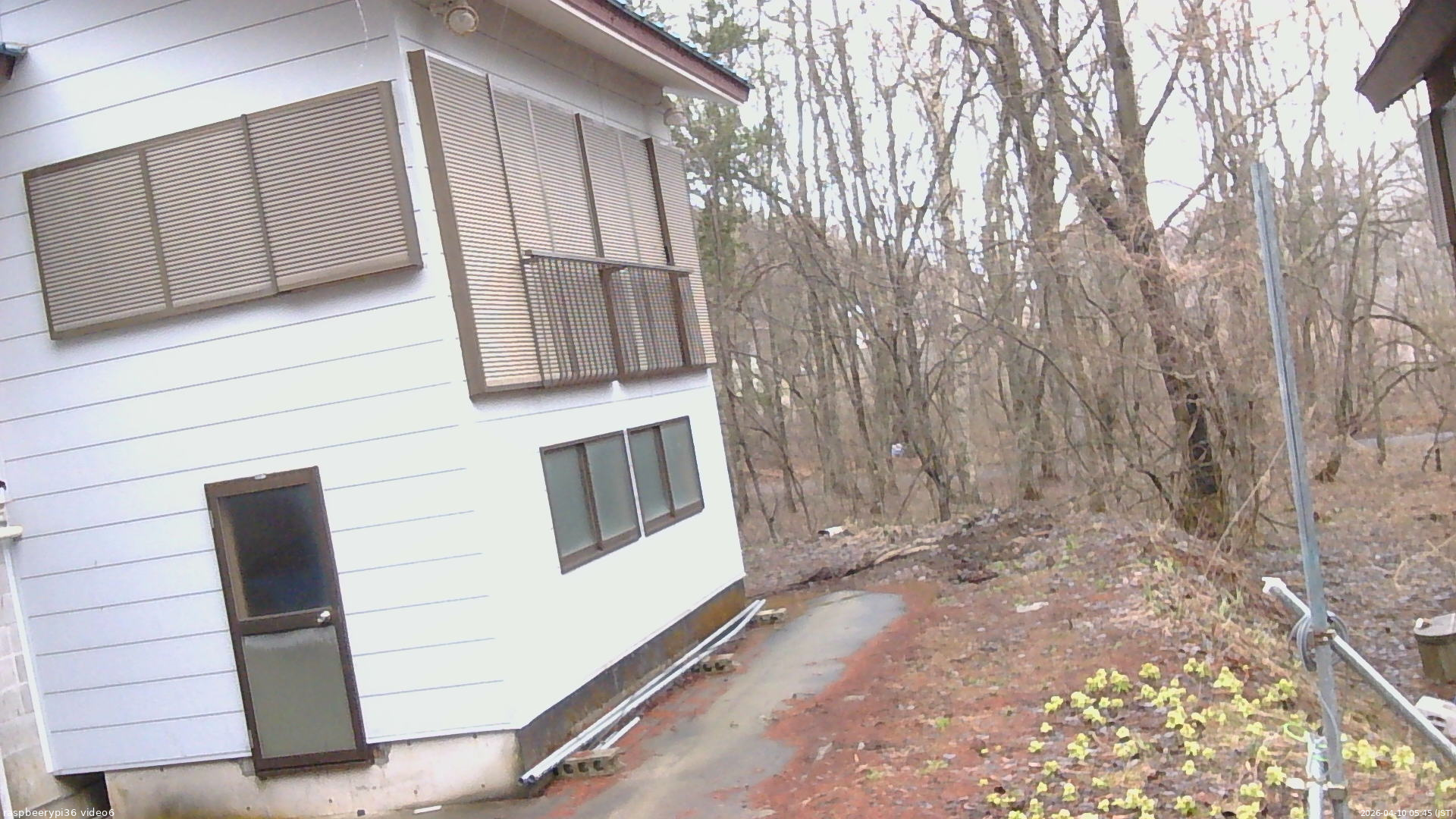 長野県菅平高原 ゆたか山荘 坂下 2026/04/10 05:45
