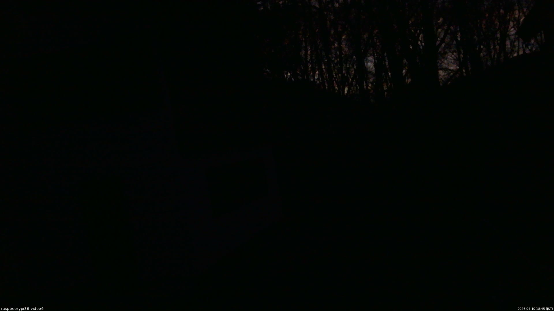 長野県菅平高原 ゆたか山荘 坂下 2026/04/10 18:45