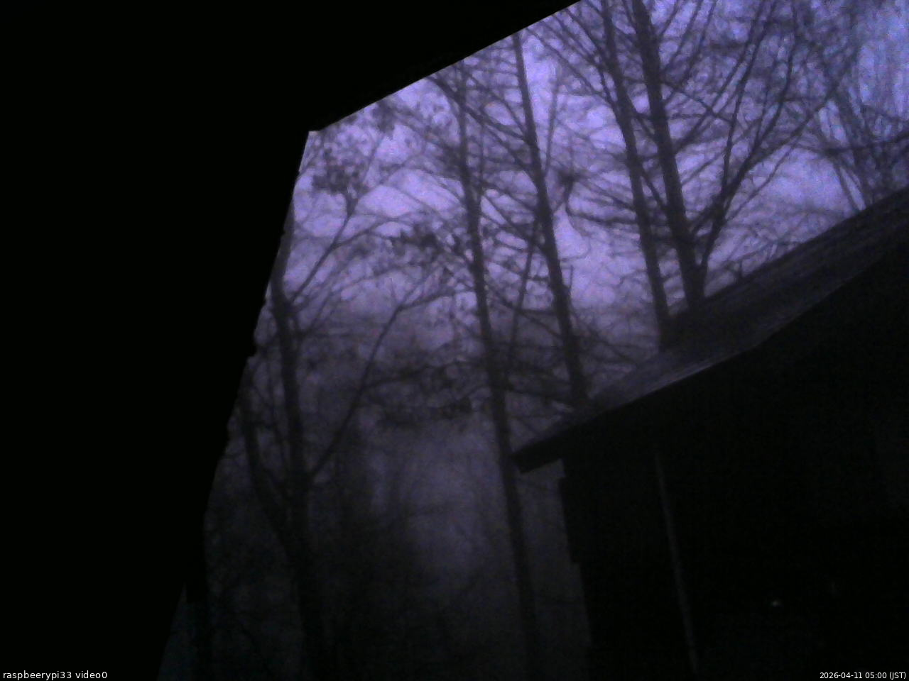 長野県菅平高原 ゆたか山荘 北側 2026/04/11 05:00