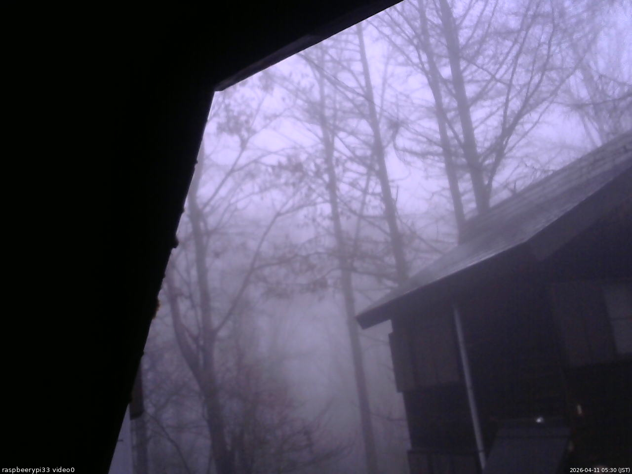 長野県菅平高原 ゆたか山荘 北側 2026/04/11 05:30