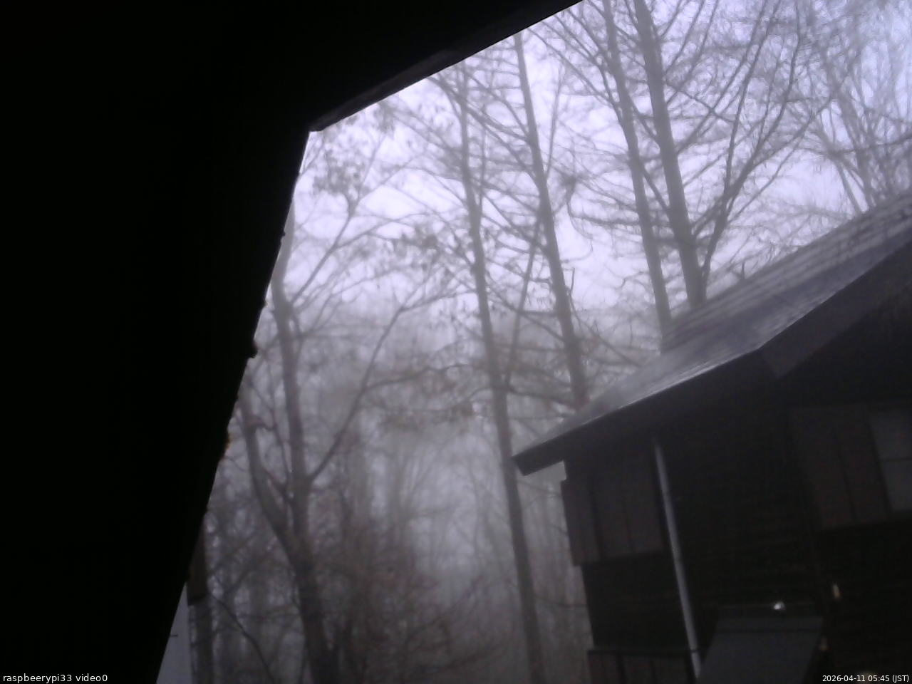 長野県菅平高原 ゆたか山荘 北側 2026/04/11 05:45