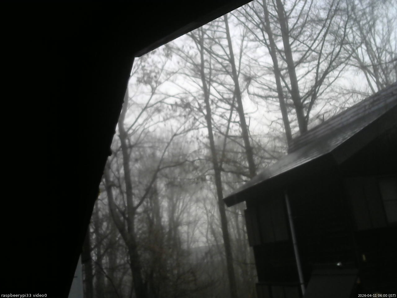 長野県菅平高原 ゆたか山荘 北側 2026/04/11 06:00