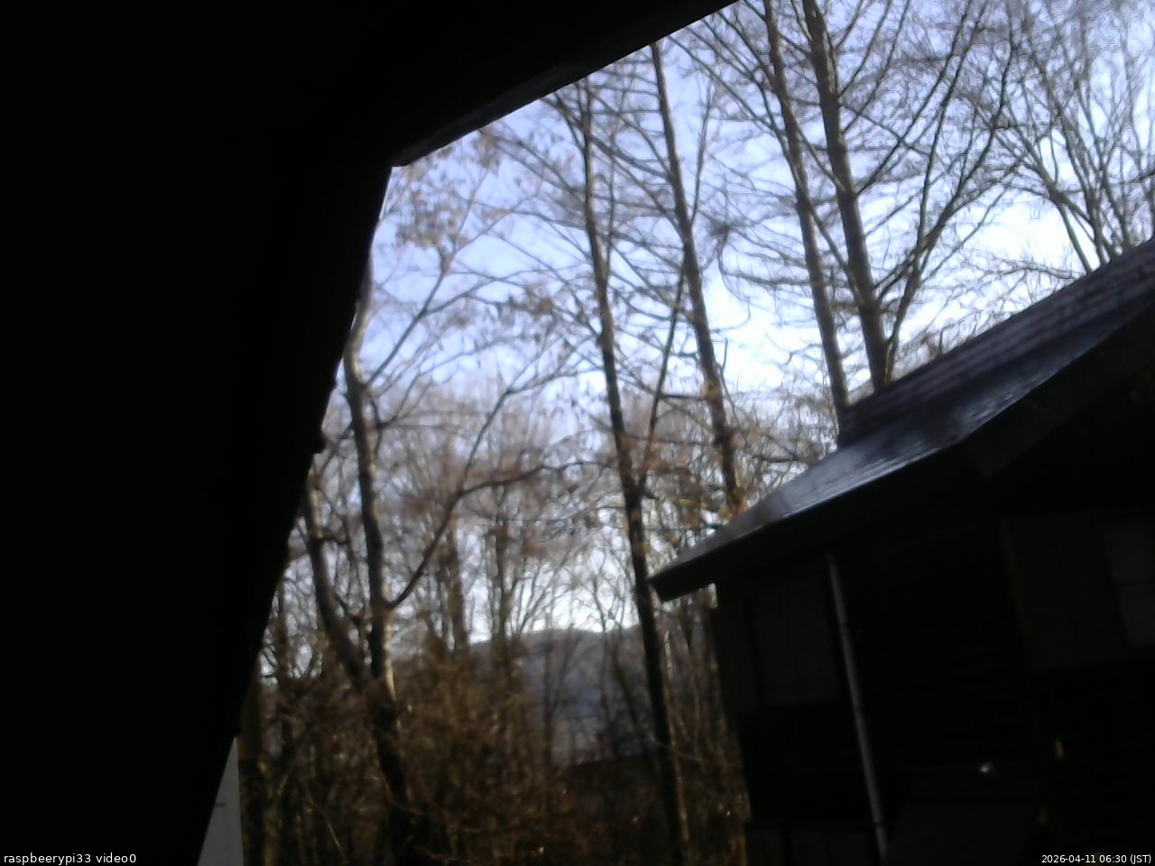 長野県菅平高原 ゆたか山荘 北側 2026/04/11 06:30