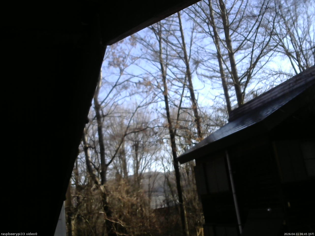 長野県菅平高原 ゆたか山荘 北側 2026/04/11 06:45