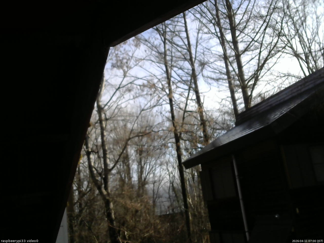 長野県菅平高原 ゆたか山荘 北側 2026/04/11 07:00