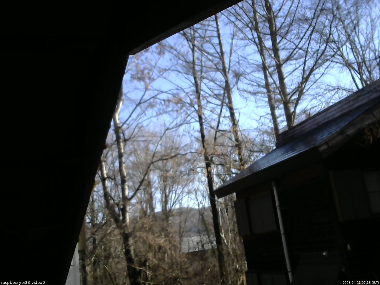 長野県菅平高原 ゆたか山荘 北側 2026/04/11 07:15