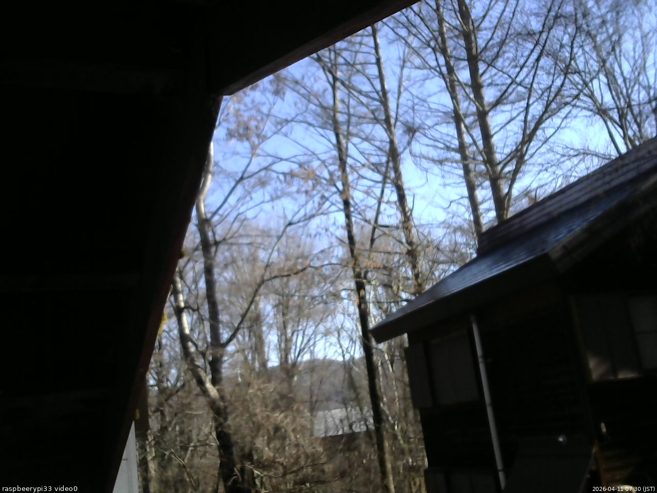 長野県菅平高原 ゆたか山荘 北側 2026/04/11 07:30