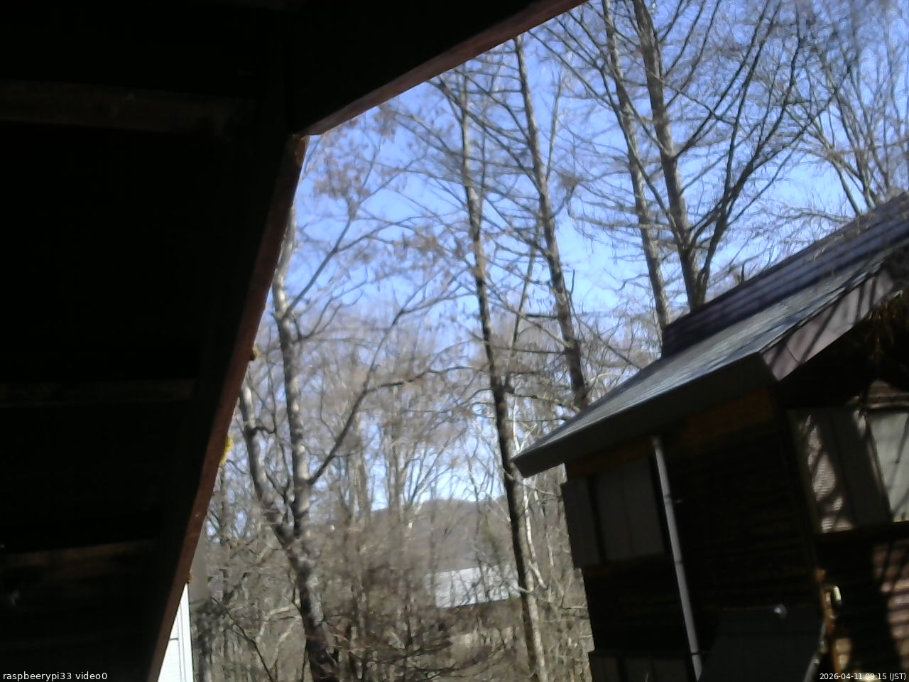 長野県菅平高原 ゆたか山荘 北側 2026/04/11 09:15