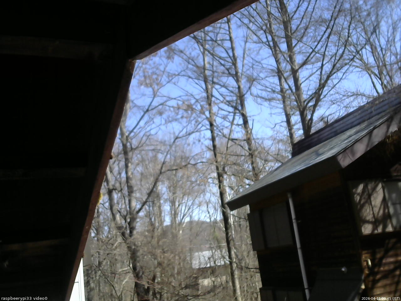 長野県菅平高原 ゆたか山荘 北側 2026/04/11 09:45