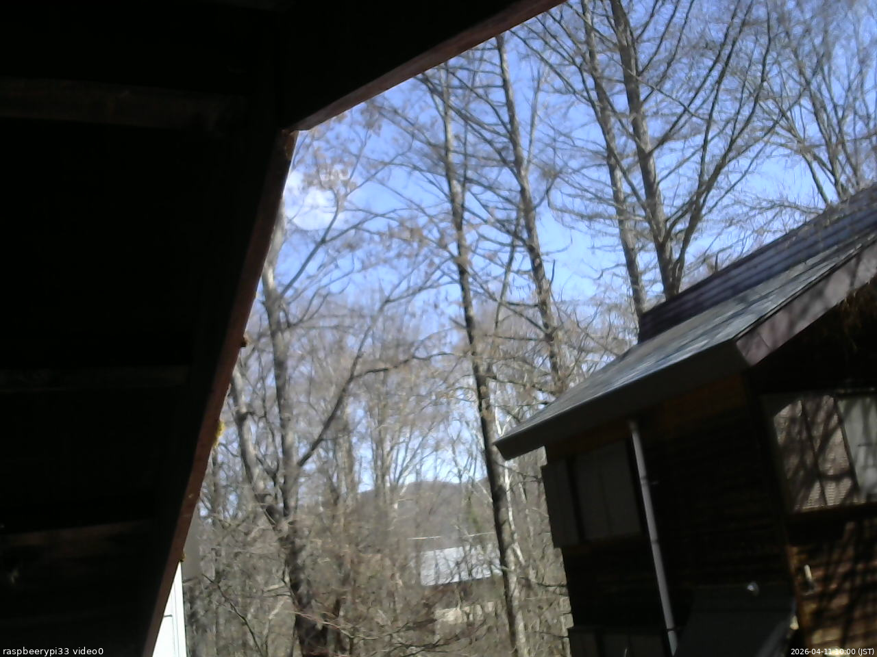 長野県菅平高原 ゆたか山荘 北側 2026/04/11 10:00