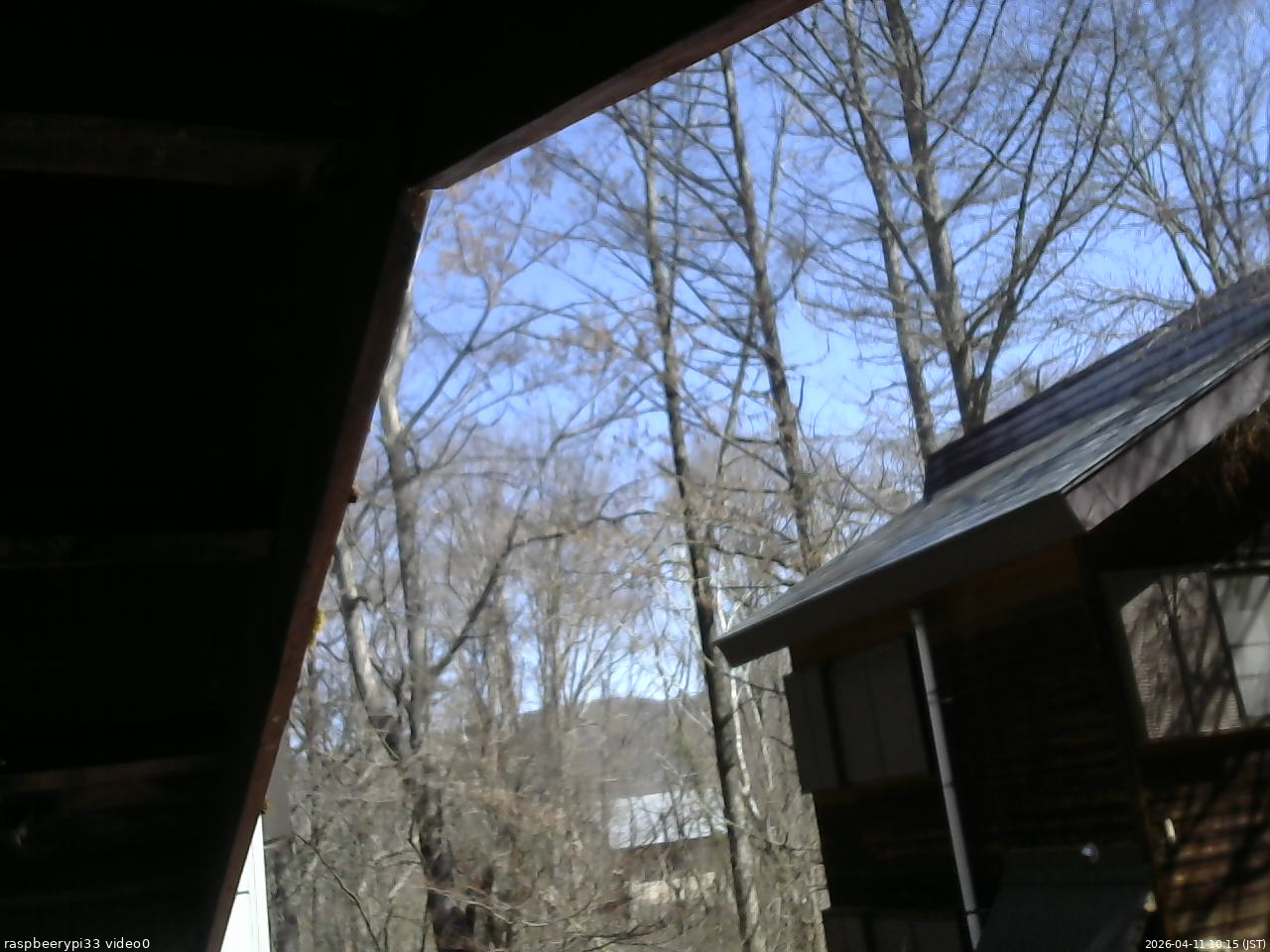 長野県菅平高原 ゆたか山荘 北側 2026/04/11 10:15