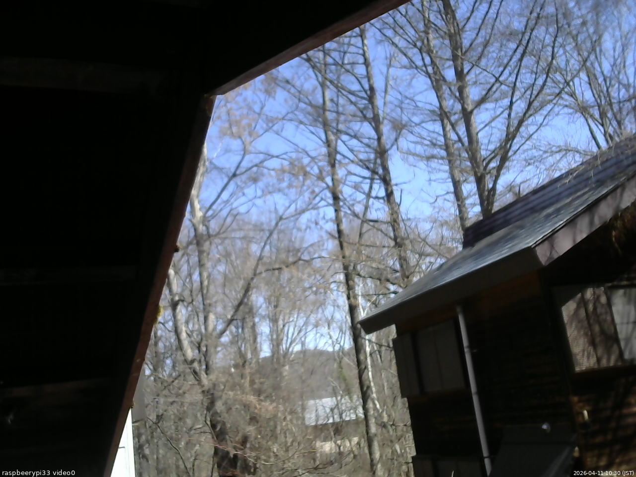 長野県菅平高原 ゆたか山荘 北側 2026/04/11 10:30