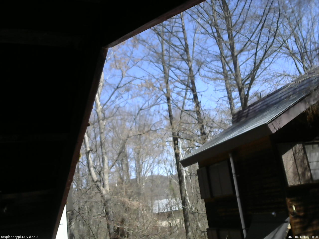 長野県菅平高原 ゆたか山荘 北側 2026/04/11 11:00