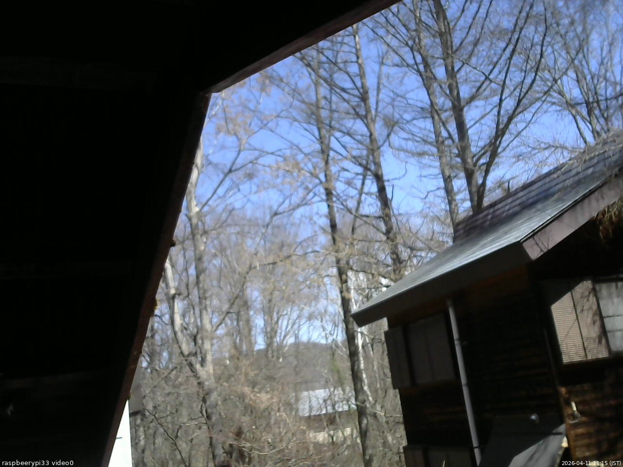 長野県菅平高原 ゆたか山荘 北側 2026/04/11 11:15