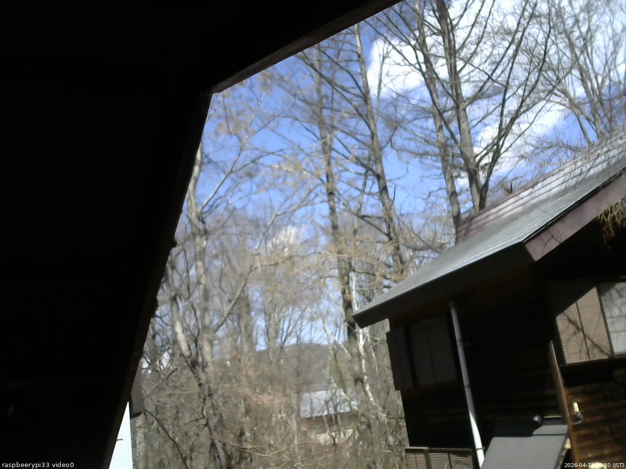 長野県菅平高原 ゆたか山荘 北側 2026/04/11 12:30