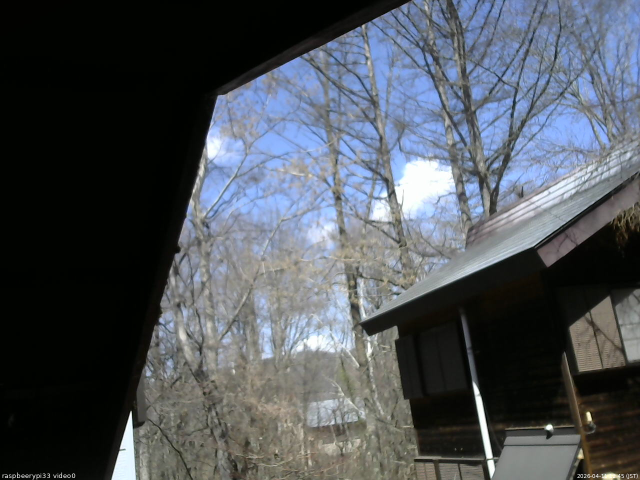 長野県菅平高原 ゆたか山荘 北側 2026/04/11 12:45