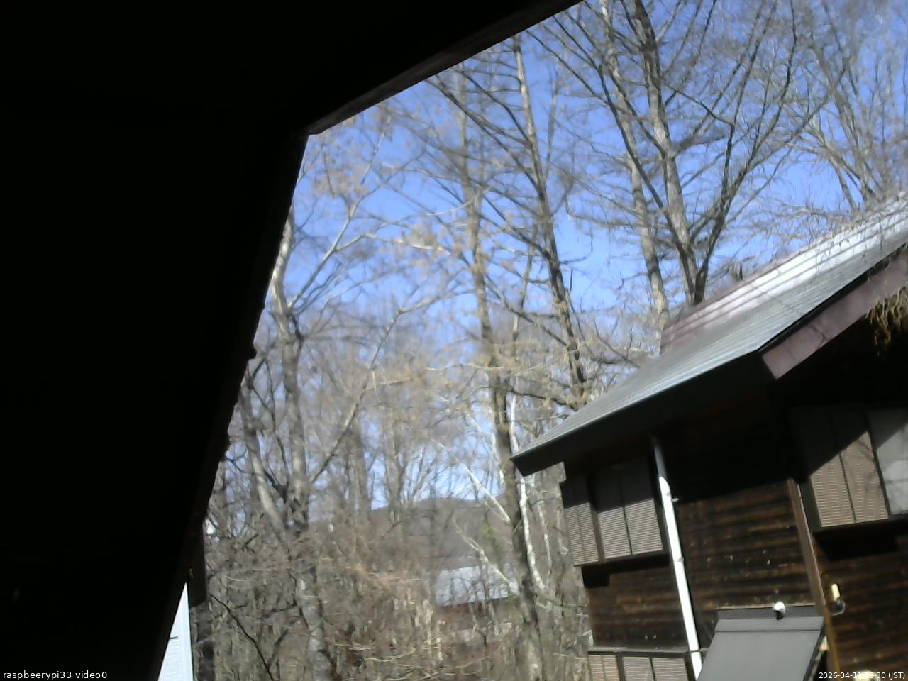 長野県菅平高原 ゆたか山荘 北側 2026/04/11 13:30