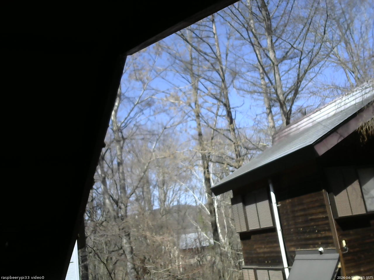 長野県菅平高原 ゆたか山荘 北側 2026/04/11 13:45