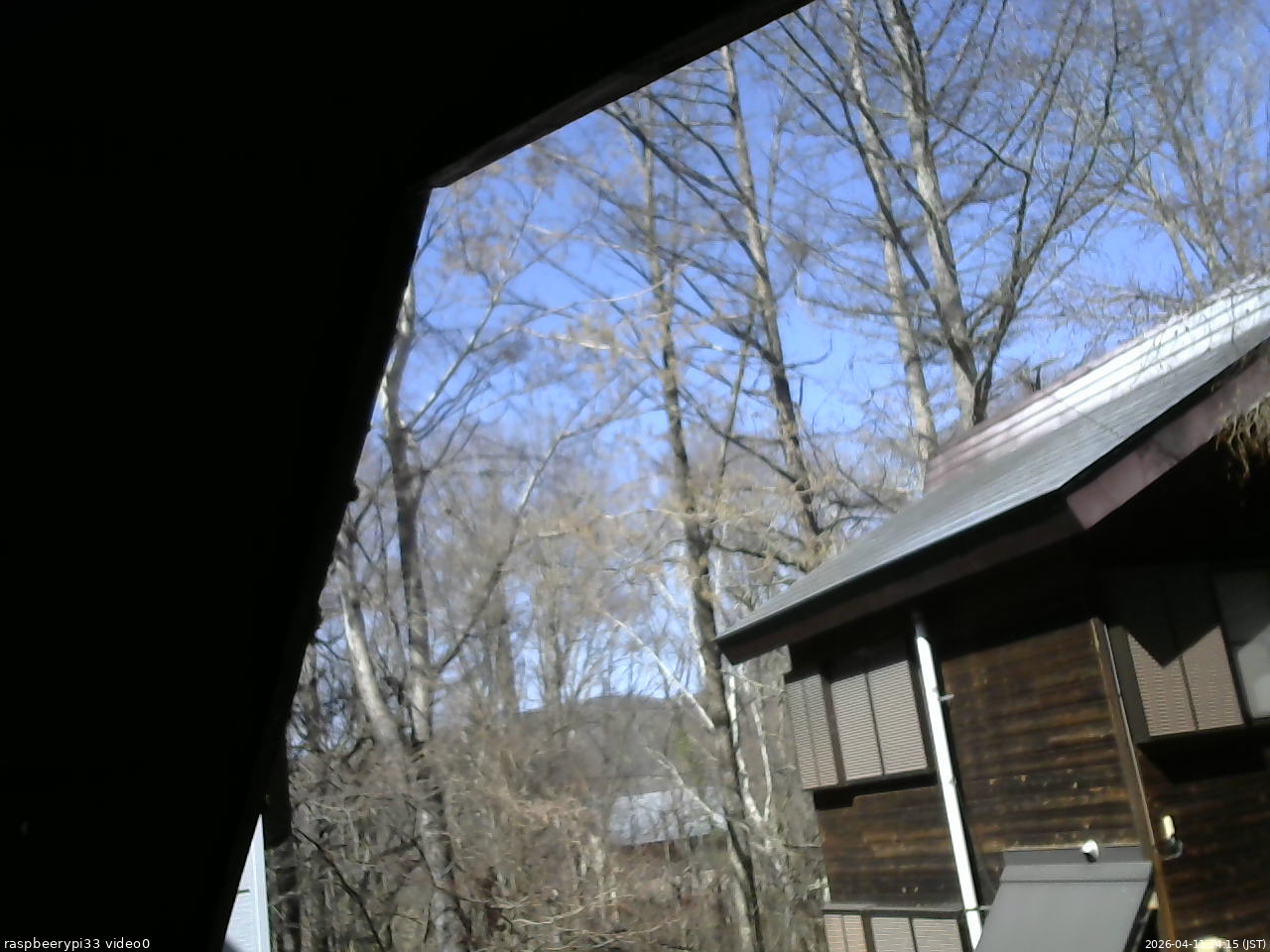 長野県菅平高原 ゆたか山荘 北側 2026/04/11 14:15