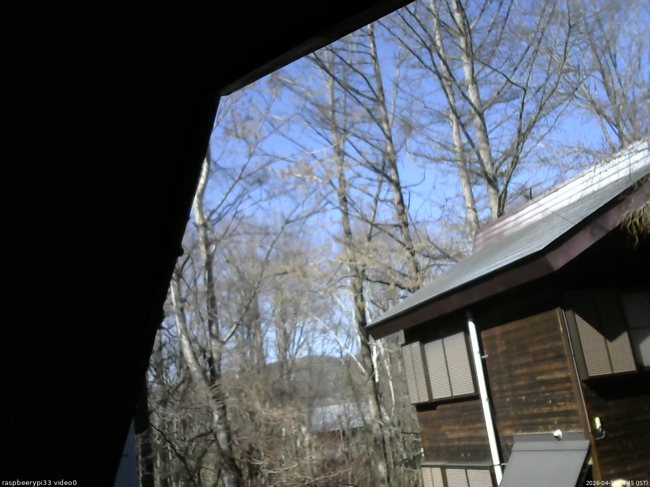 長野県菅平高原 ゆたか山荘 北側 2026/04/11 14:45