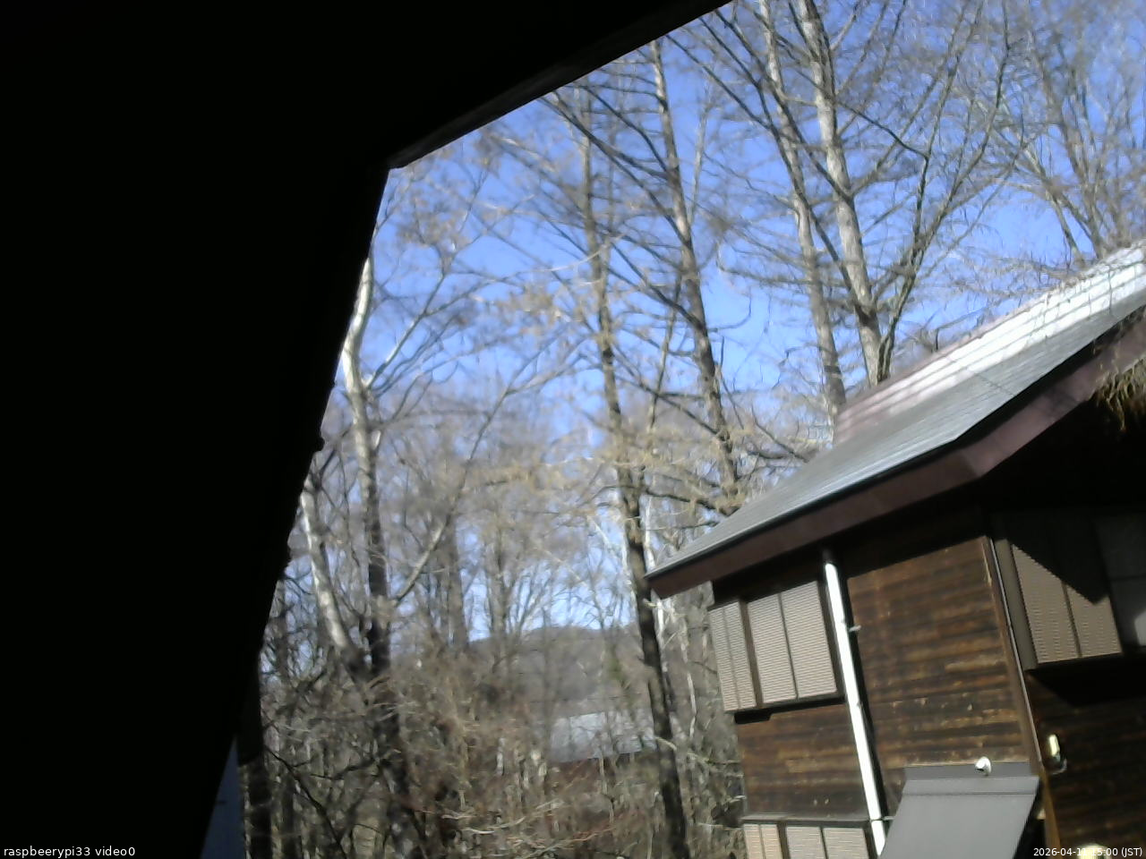 長野県菅平高原 ゆたか山荘 北側 2026/04/11 15:00