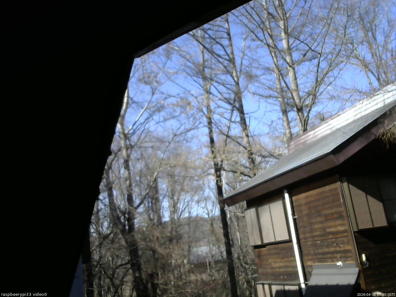 長野県菅平高原 ゆたか山荘 北側 2026/04/11 15:30